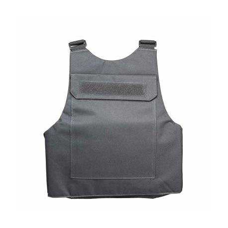 Discreet Plate Carrier