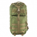 Small Backpack - Green with Tan Trim