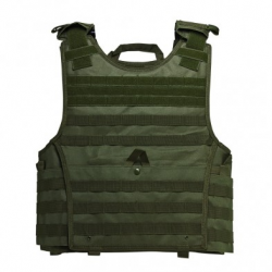 Expert Plate Carrier Vest [2XL+] - Green